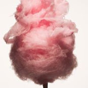 Nina Valjarevic's photo