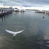 Emily Johnson's photo