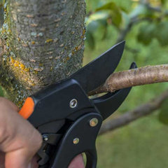 Redd's Tree Service LLC