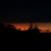 Foto von Joy McLay
