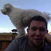 Michael Neumann's photo