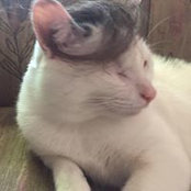 Carrie Jaske's photo