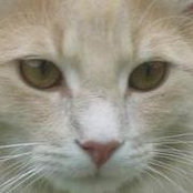 Melanie Dunaway's photo