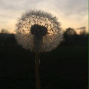 MaryKay Buckner's photo