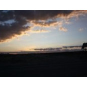Clint Weis's photo
