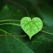 Audrey Nortier's photo