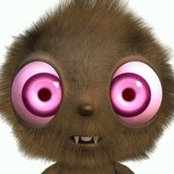 Toma Toma's photo