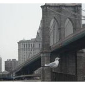 John Lambkin's photo