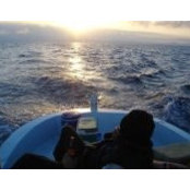 Mert Tolga's photo