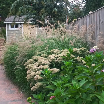 Arlington Back yard