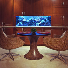 aquarium