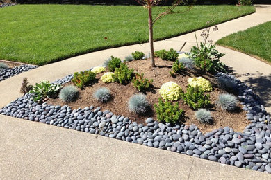 Design ideas for a contemporary landscaping in San Francisco.