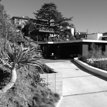 Shayan House