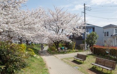 4 Japanese Homes That Proudly Speak to Their Surroundings