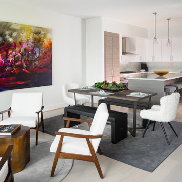 A Youthful Contemporary Condo in River Oaks