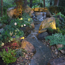 Best Water Features Ever!