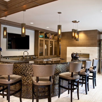 Entertaining Luxurious Lower Level Remodel