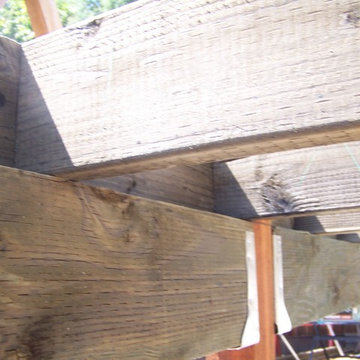 Trex Deck, Cedar Rails and Trellis, Hogwire