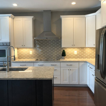 Reston Town Center Full Remodel