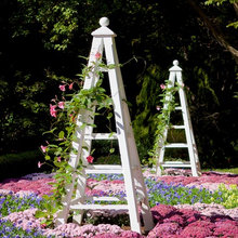 Garden Architecture