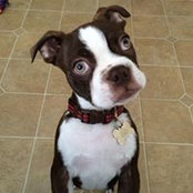Mary O'Brien Moro's photo