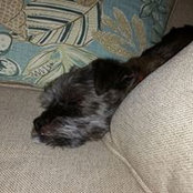Evelyn Koppel's photo