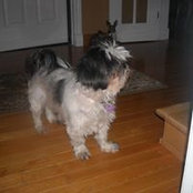 Harold Pennell's photo