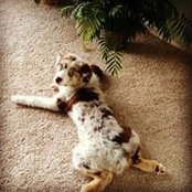 Amanda Robinson's photo