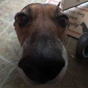 Marshall O'Connor's photo