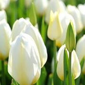 April Smith's photo