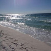 Tina Borders's photo