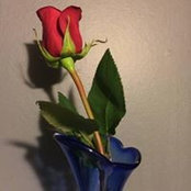Michelle Ramirez's photo
