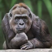 Ana Elias's photo