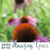 Patricia Cole's photo