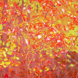 Sunny Autumn - Artwork