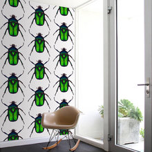 Livvy's Room