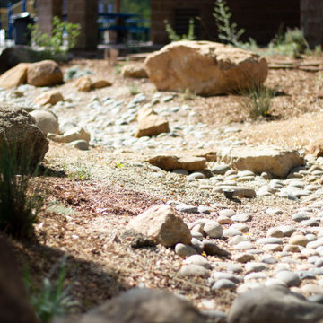 Ecological Courtyard