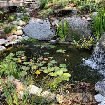 Water Features • 2006-2019