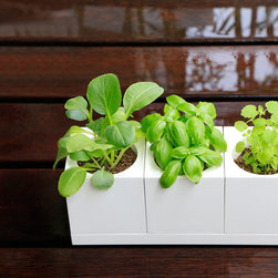 TableGarden - Products