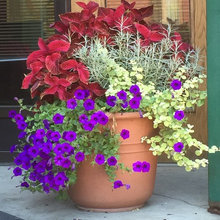 Planters