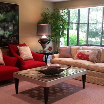 Lower Level Remodel