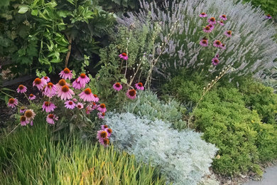This is an example of a transitional landscaping in Seattle.