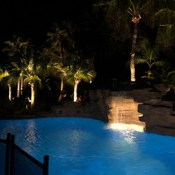 Odessa FL Custom Pool Surround Lighting - Outdoor Lighting