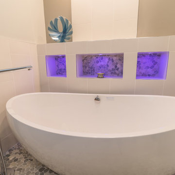 Project 2025-3 Golden Valley Transitional Master Bathroom Remodel with Spa Feel