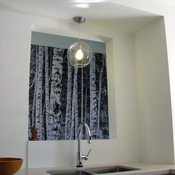 Birch Tree over Sink