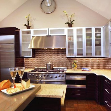 Contemporary Kitchen Cabinets Design Remodel