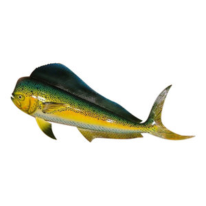 Hand Painted 18” Red Snapper Fish Salt Water Fishing Wall Mount Decor Sculpture