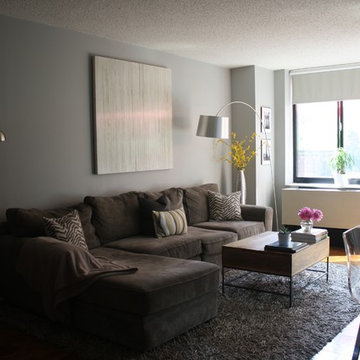 Contemporary NYC Living Room