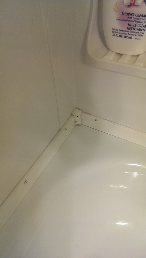 Bathtub trim