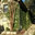 Tru Cut Landscapes
